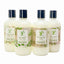 S & C Signature Shampoo