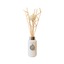 S & C Luxe Reed Diffuser