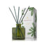 Frasier Fir Petite Green Diffuser