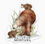 Whitefish MT Bear Sticker