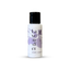 S & C Favorites Hand & Body Lotion