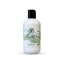 S & C Favorites Hand & Body Lotion